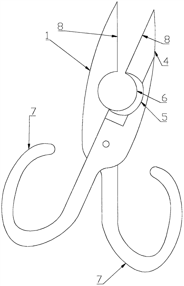 Hawthorn processing technology and hawthorn processing tool