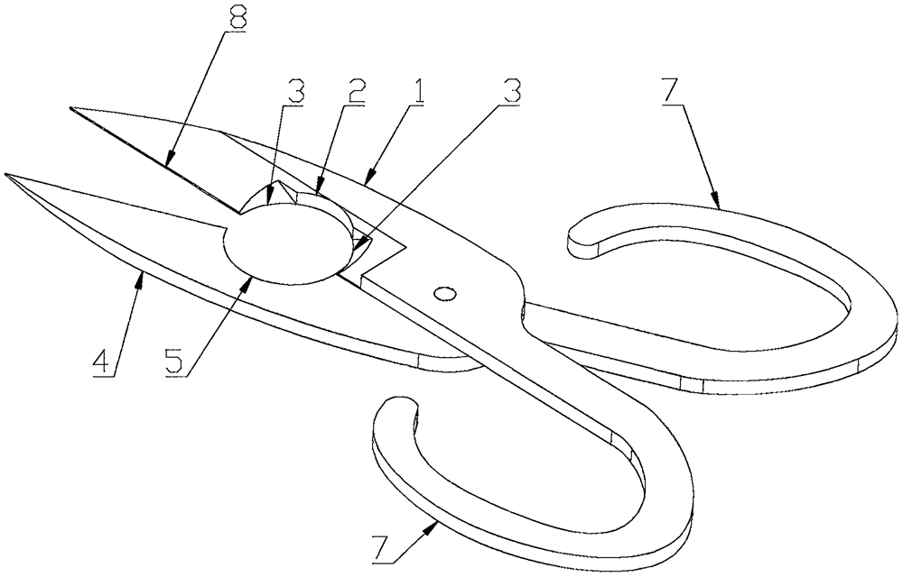 Hawthorn processing technology and hawthorn processing tool