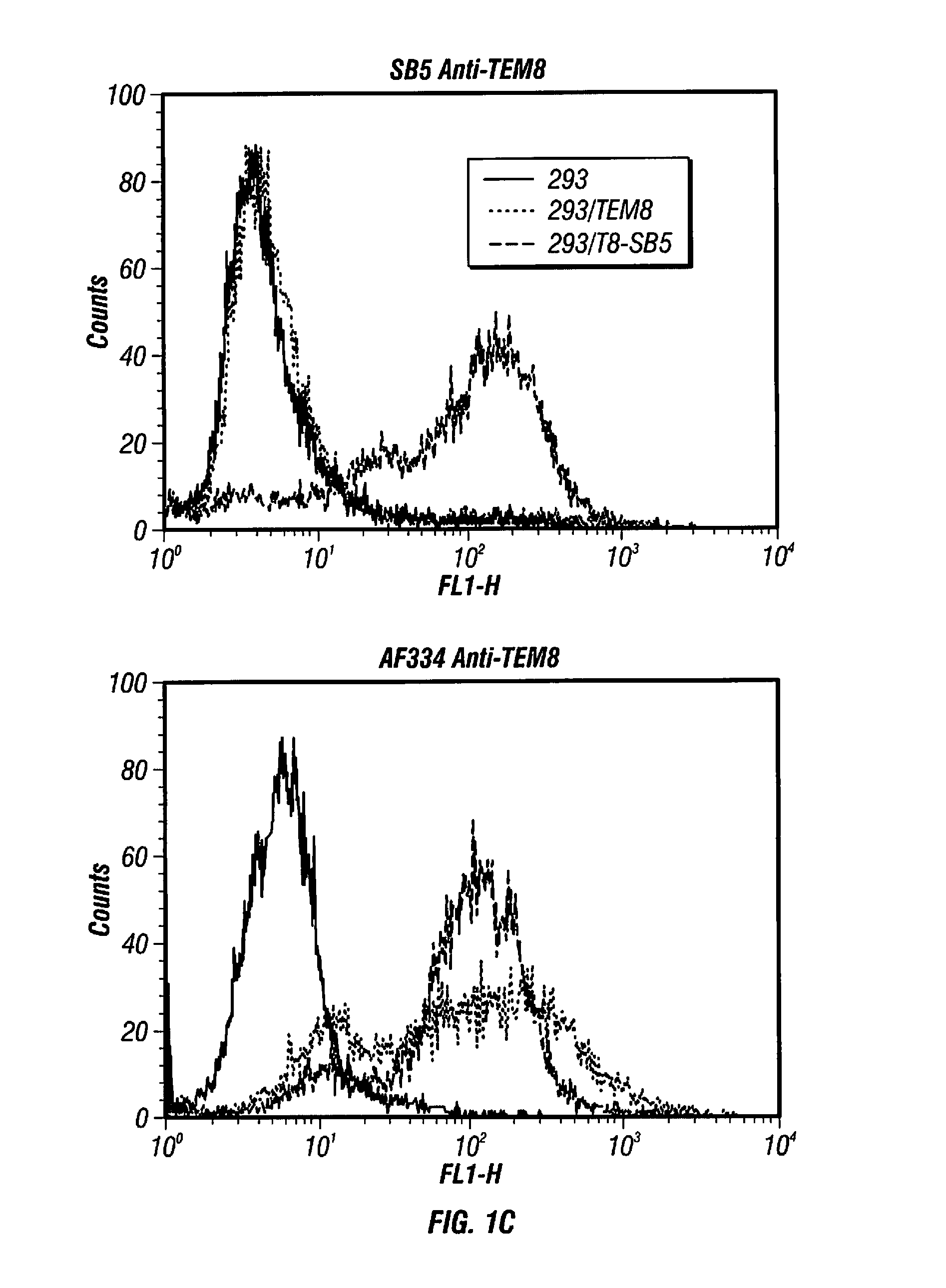 Antibodies to tumor endothelial marker 8