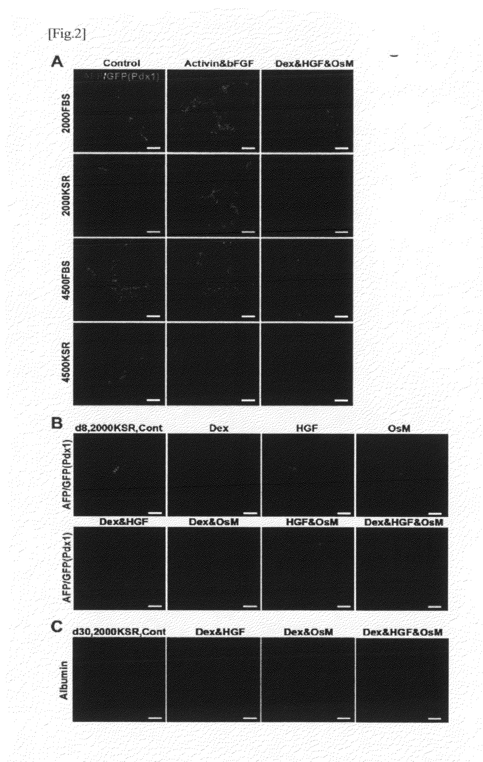 Method for induction of differentiation of es cell