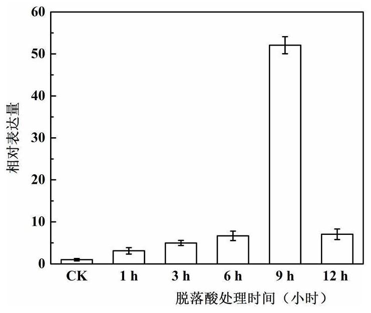 A kind of anti-abiotic stress transcription factor pbrbhlh92 and its primers, encoded proteins and applications