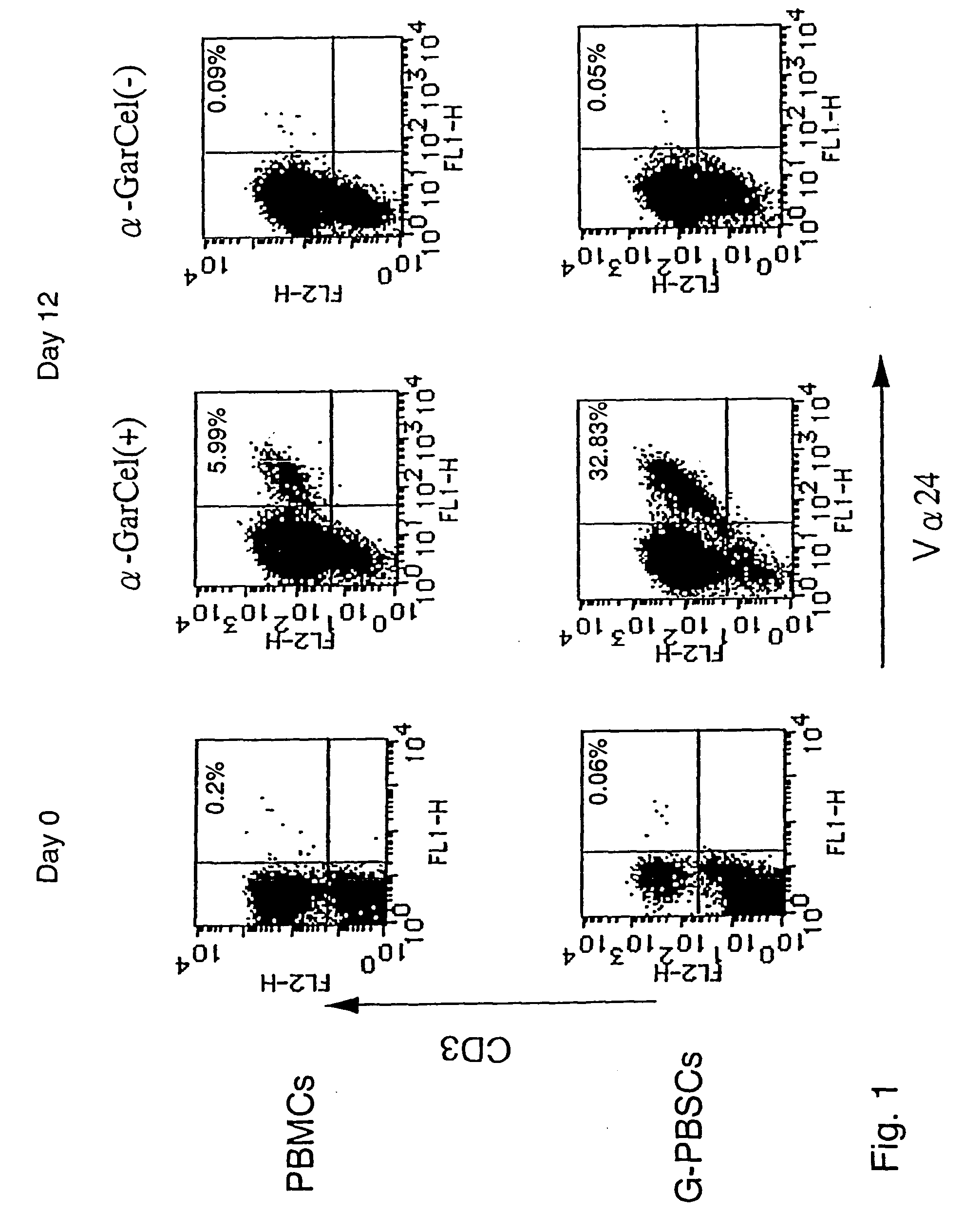 Method for amplifying natural killer t cells