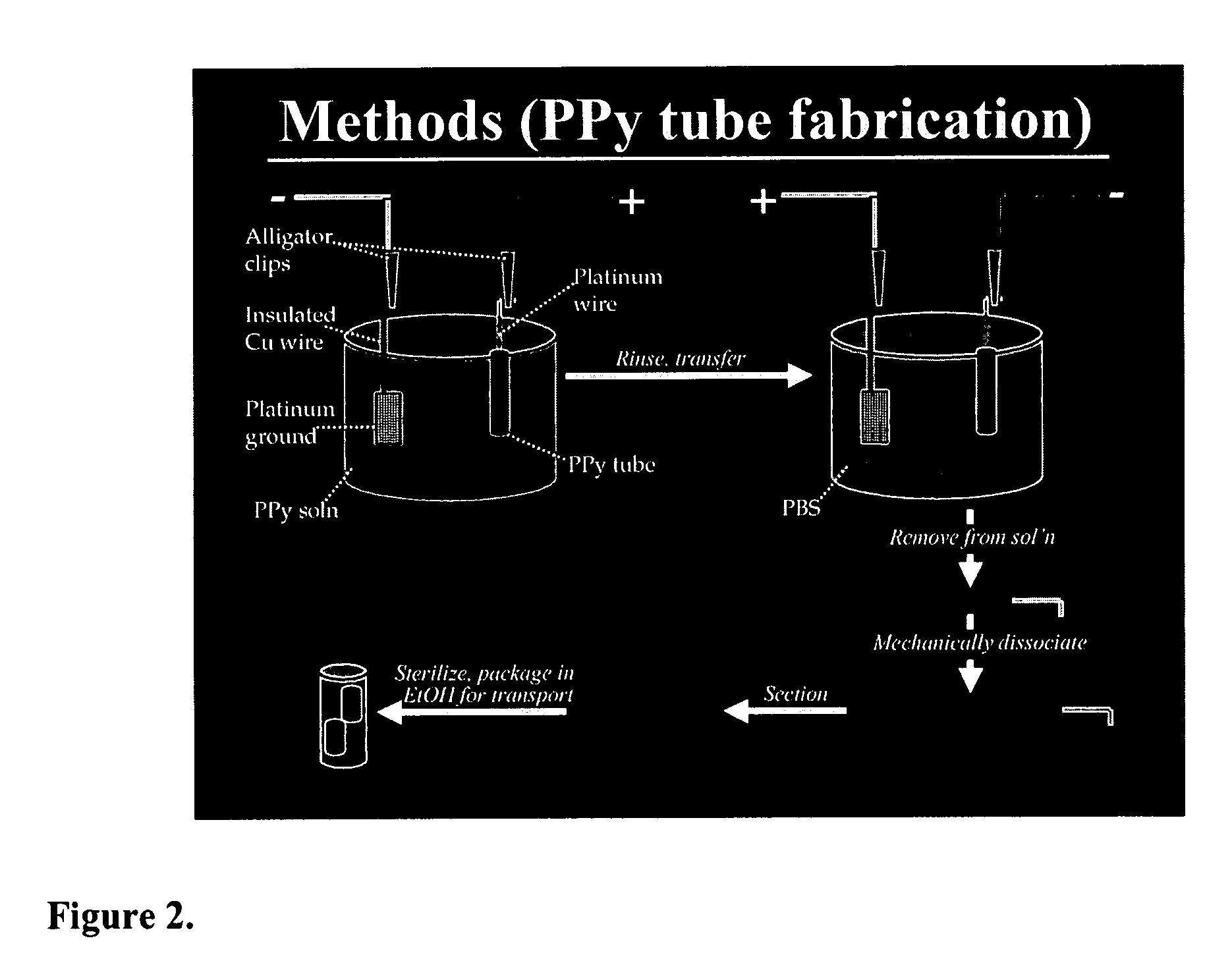 Methods and compositions for the treatment of open and closed wound spinal cord injuries