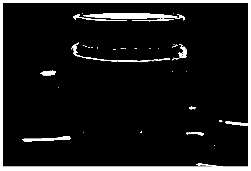 A method for tissue culture and rapid propagation of an excellent single plant of hibiscus purple flowers in dry land