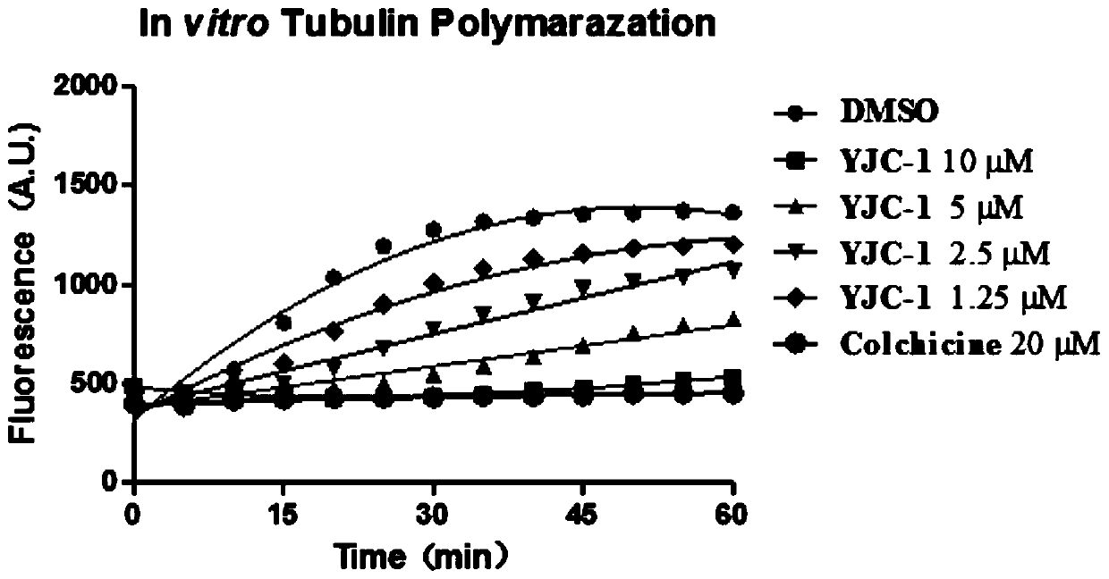 Tubulin inhibitor and preparation method and application thereof