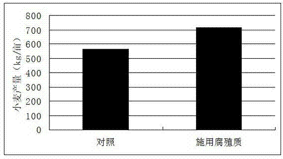 Method of producing soil humus with crop stalks and application