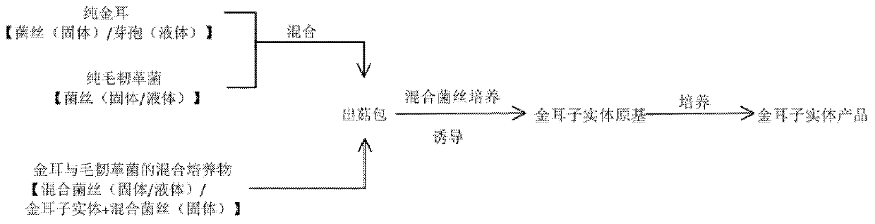 Inoculated culture method for liquified strain of tremella auramtialba