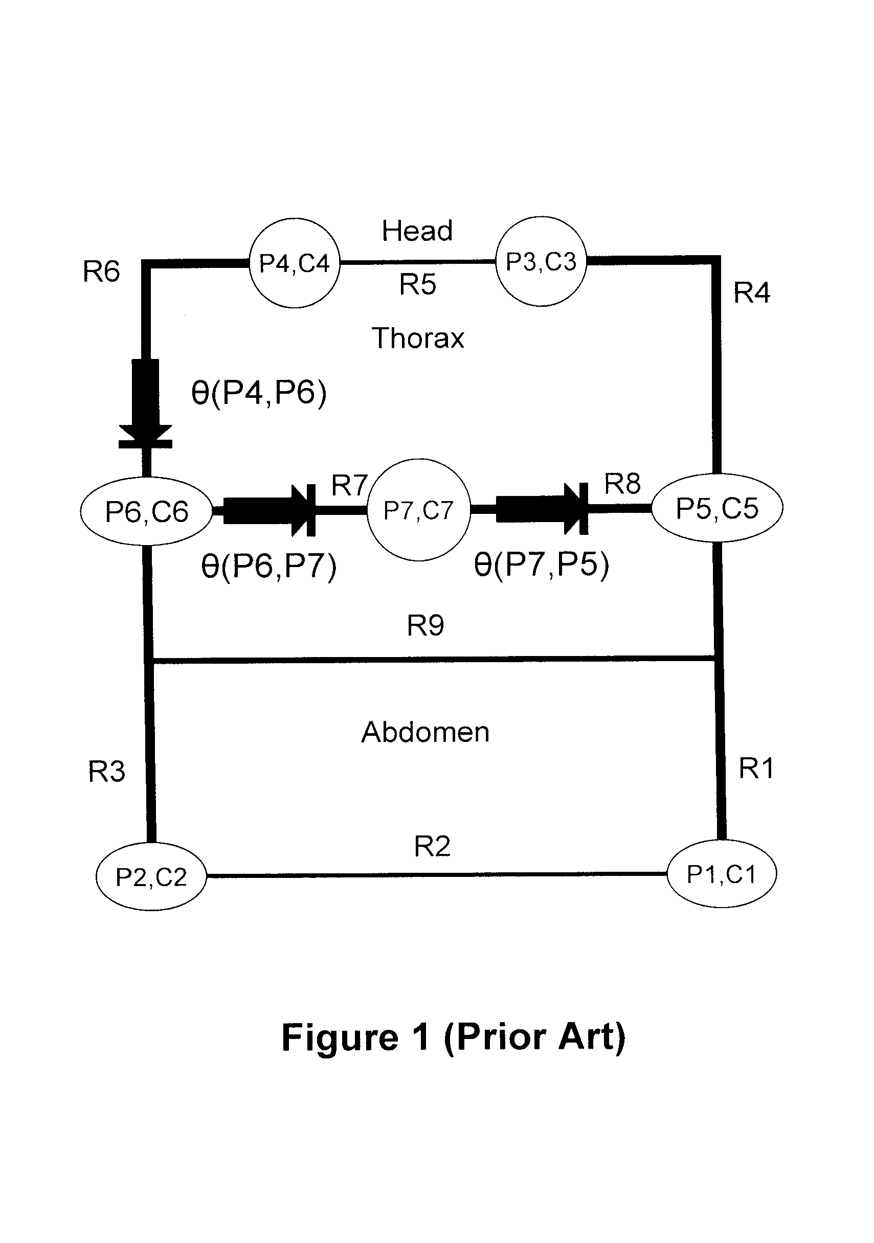 Optimal control of CPR procedure using hemodynamic circulation model