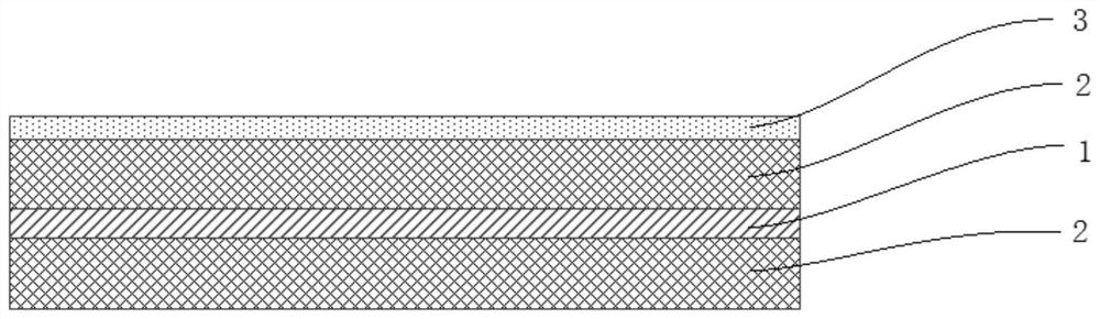 A positive pole piece, its preparation method and electrochemical device