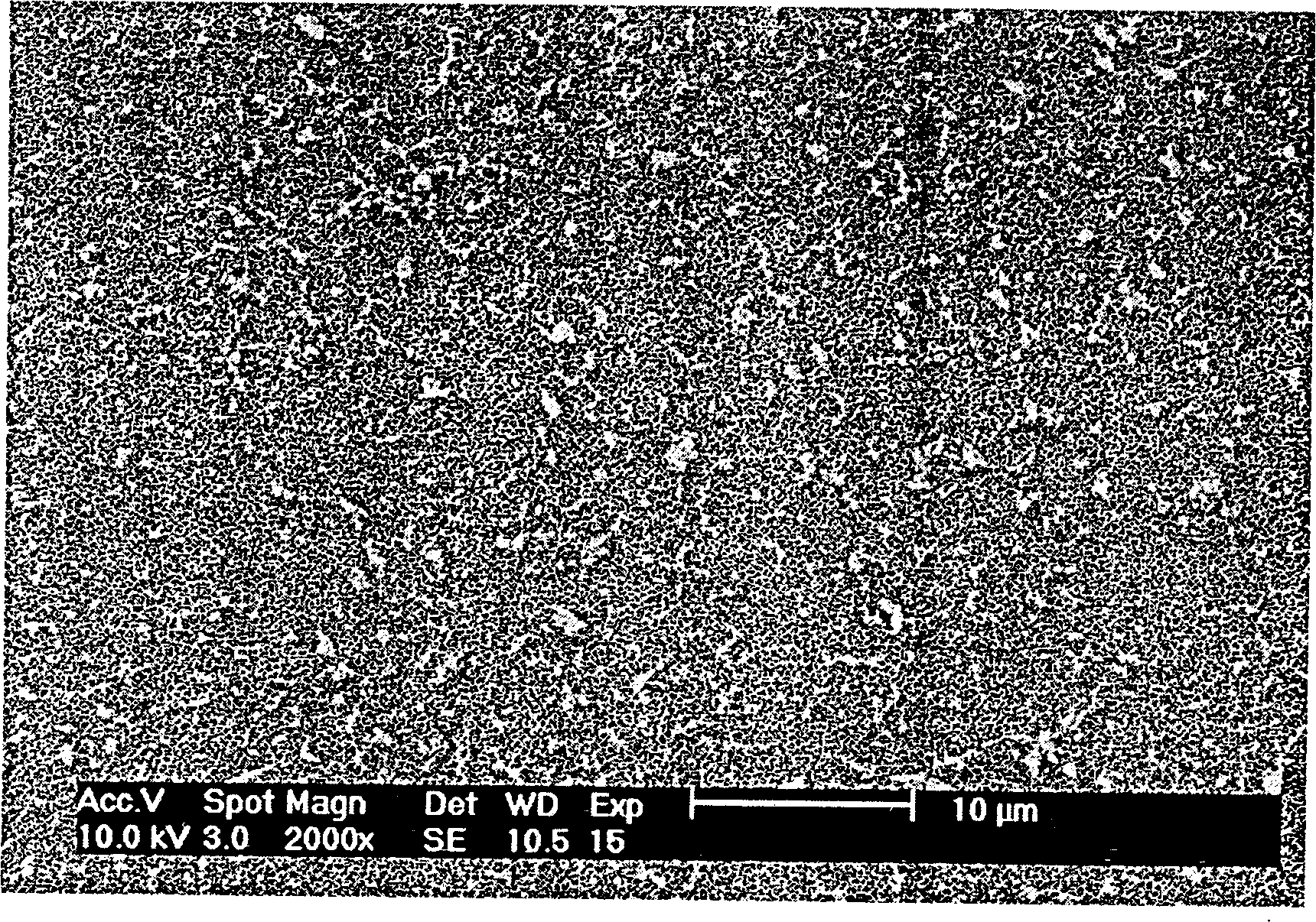 Preparation method of detection filter membrane used for bacteria and virus sampling in air