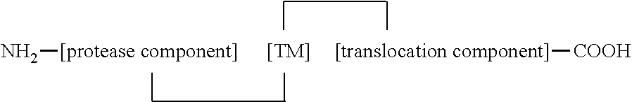 Therapeutic fusion proteins