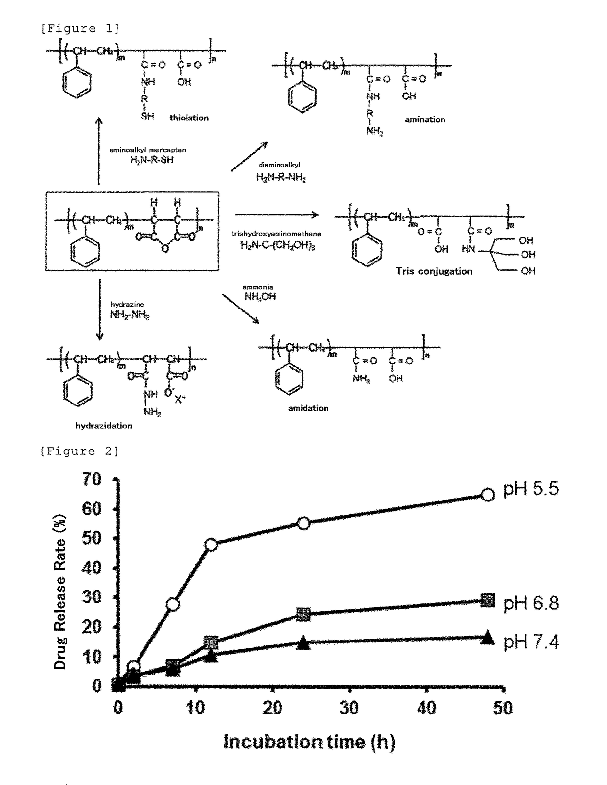 Derivative of styrene-maleic acid copolymer