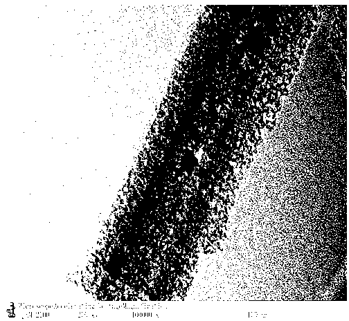 Method for preparing mesoporous silicon nanowire by metal nanoparticle auxiliary etching method