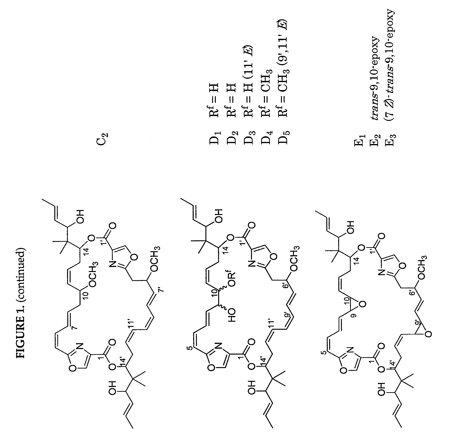 Polynucleotides encoding disorazole polyketide synthase polypeptides