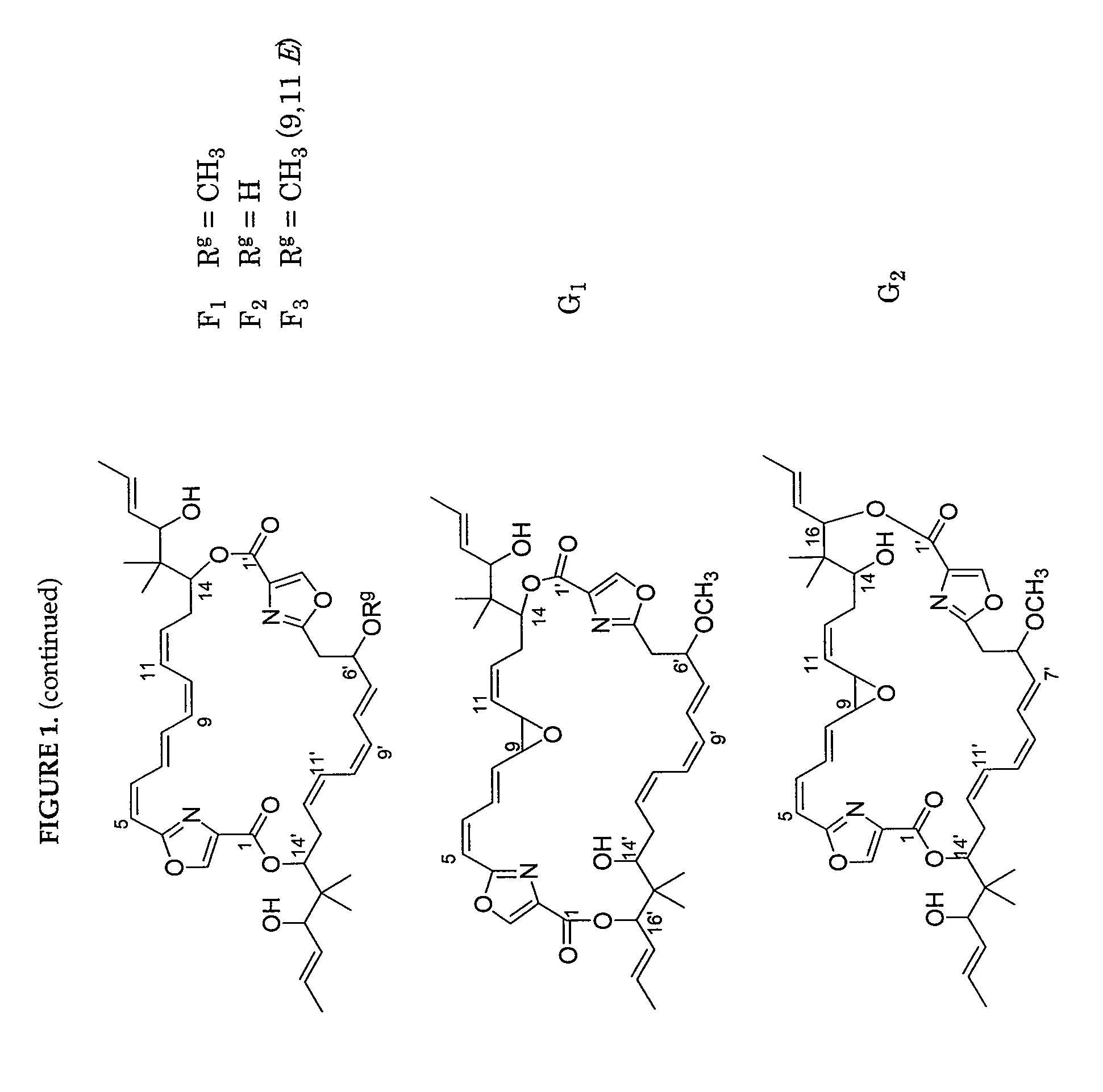 Polynucleotides encoding disorazole polyketide synthase polypeptides