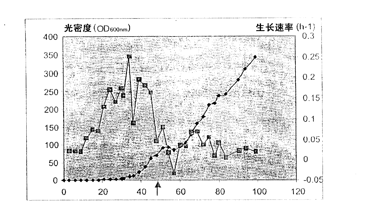 Method for producing lipase, transformed Yarrowia lipolytica cell capable of producing lipase and their uses