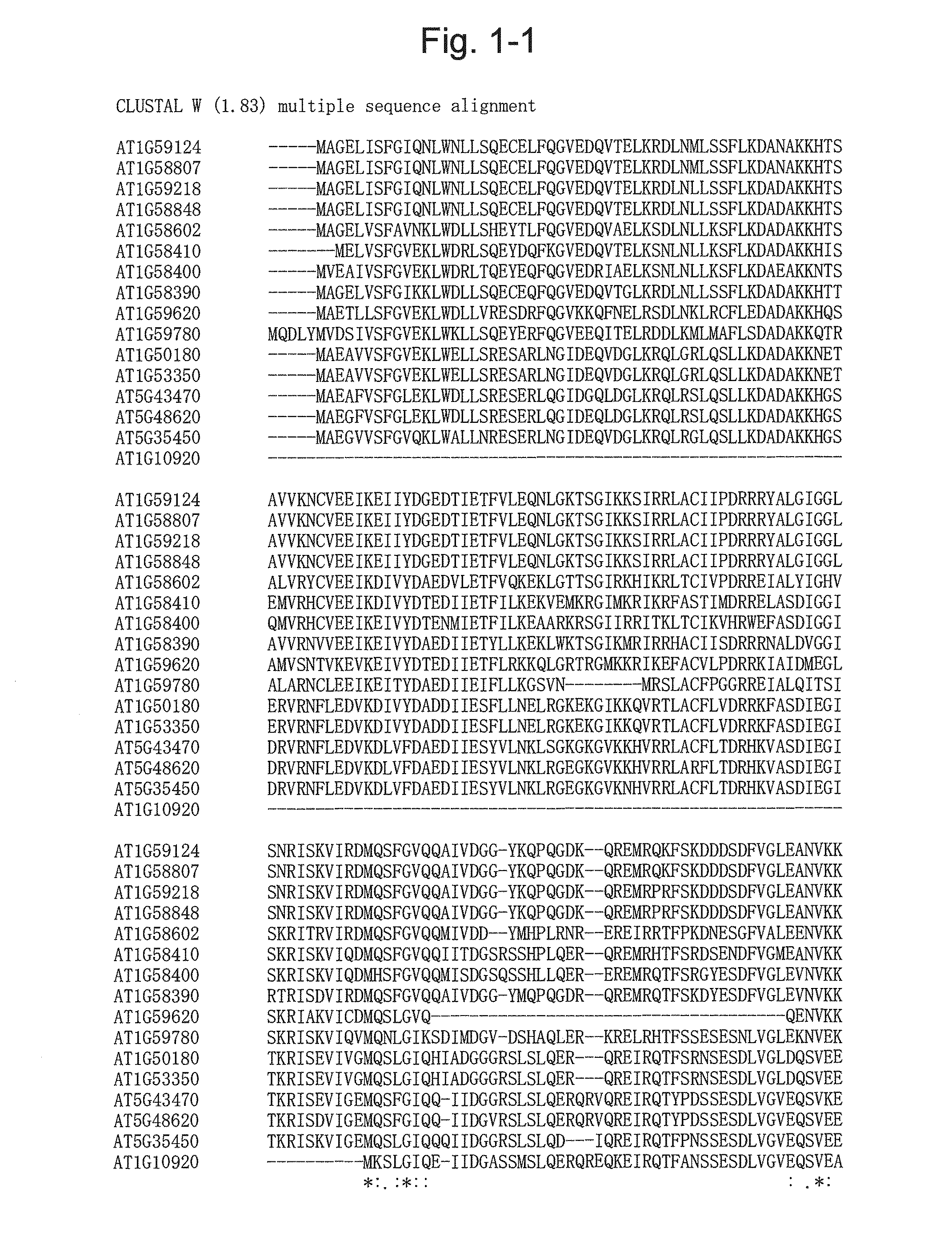 Gene capable of increasing the production of plant biomass and method for using the same