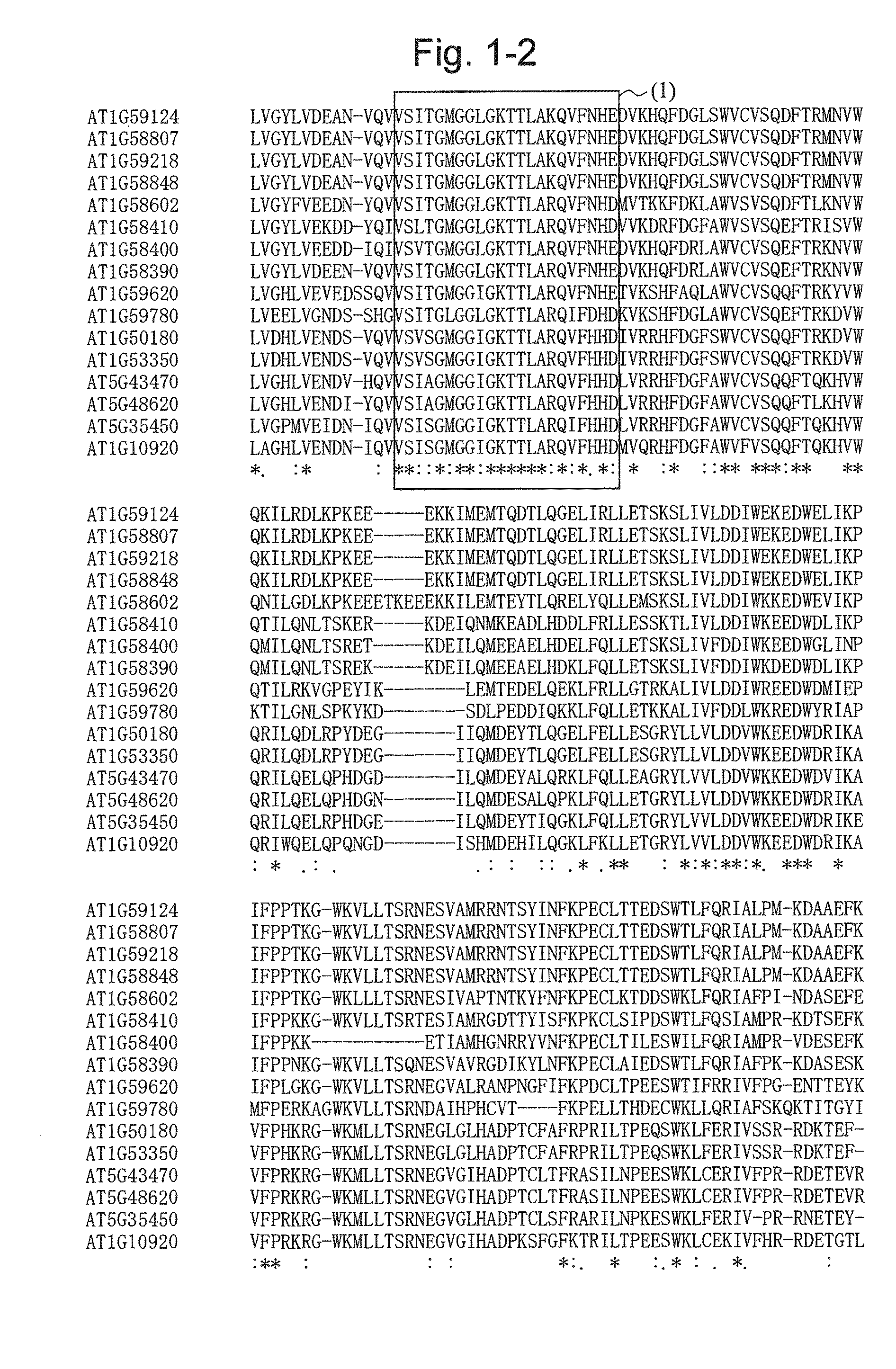 Gene capable of increasing the production of plant biomass and method for using the same