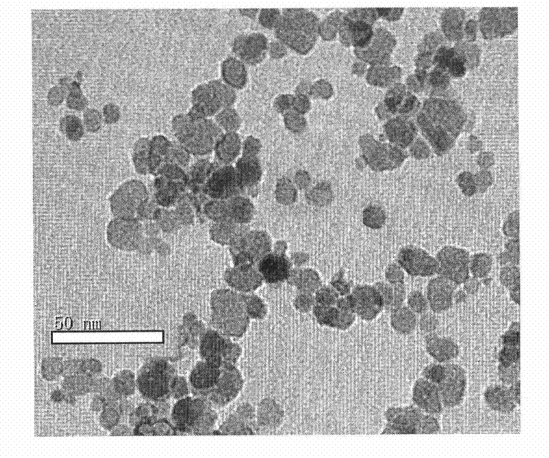 Novel liver-targeting nanometer Fe3O4MRI (Magnetic Resonance Imaging) contrast medium and preparation method