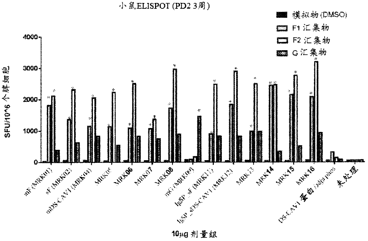 Respiratory syncytial virus vaccine