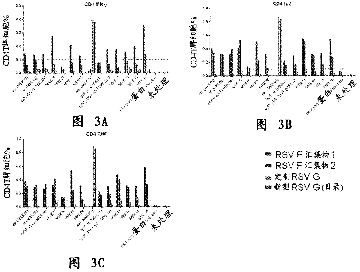 Respiratory syncytial virus vaccine