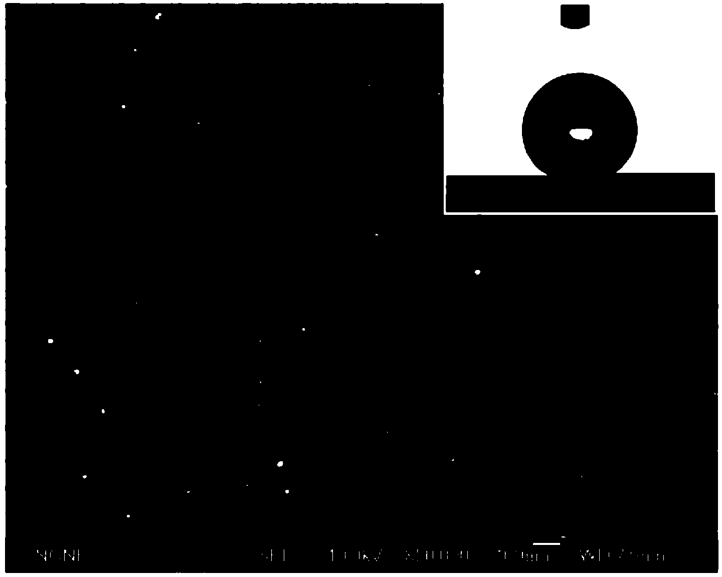 Preparation method of hydrophobic separating membrane