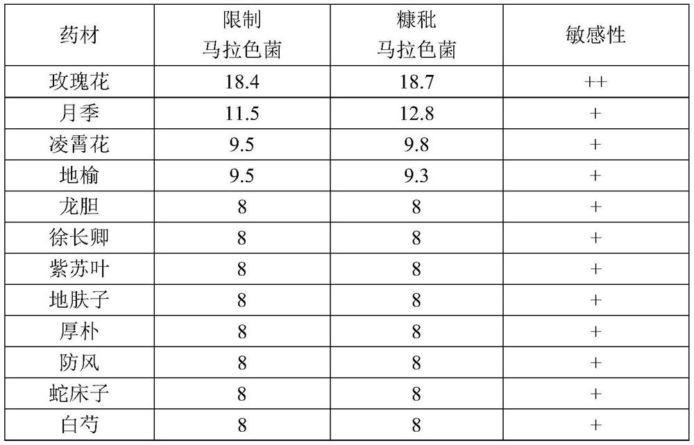 Anti-malassezia traditional Chinese medicine composition and application thereof