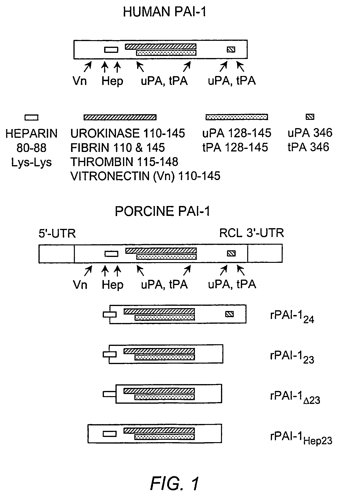 Methods for modulating angiogenesis via VEGF