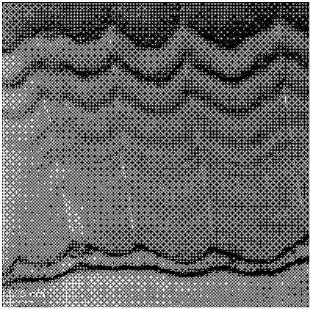 Preparing technology for bionic molybdenum silicide gradient laminate compositing nanometer coatings