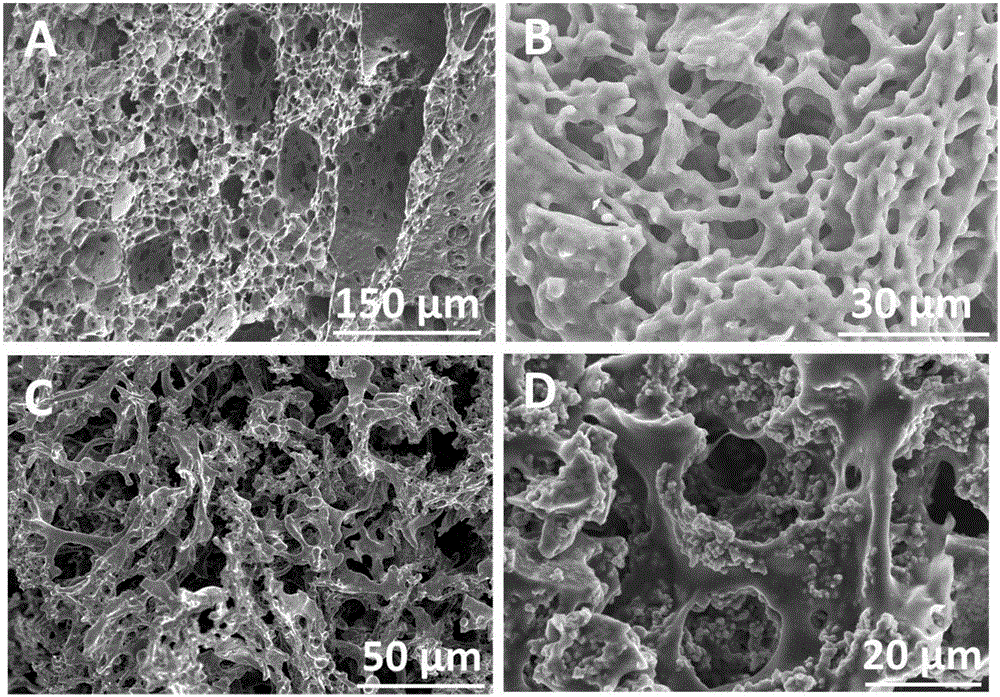 Method for preparing molybdenum disulfide/carbon composite multi-grade porous material