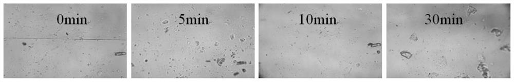 Self-repairing waterborne polyurethane coating containing imine bonds