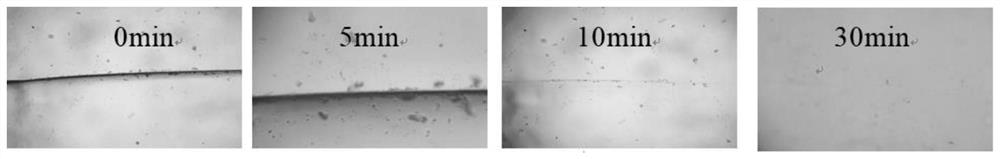 Self-repairing waterborne polyurethane coating containing imine bonds