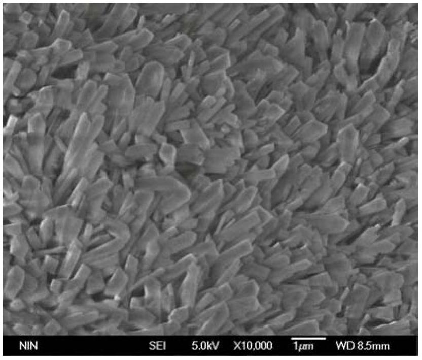 Preparation method of lithium ion battery cathode material carbon-coated columnar lithium vanadium phosphate