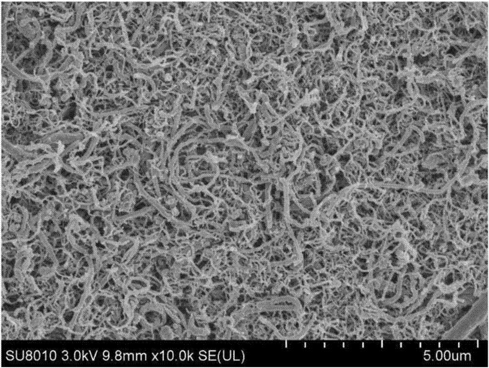 Superhydrophobic modified electrostatically-spun membrane and preparation method and application thereof