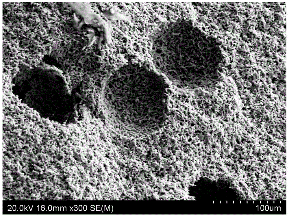 A kind of preparation method of porous silicon nitride ceramics