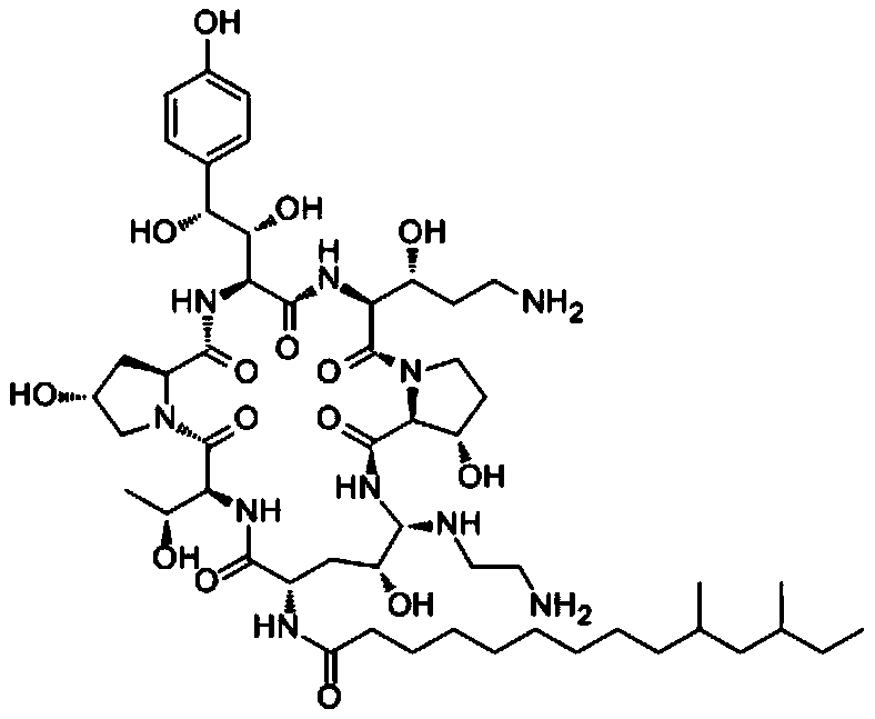 Application of caspofungin in preparation of medicine for treating ischemia/reperfusion injury