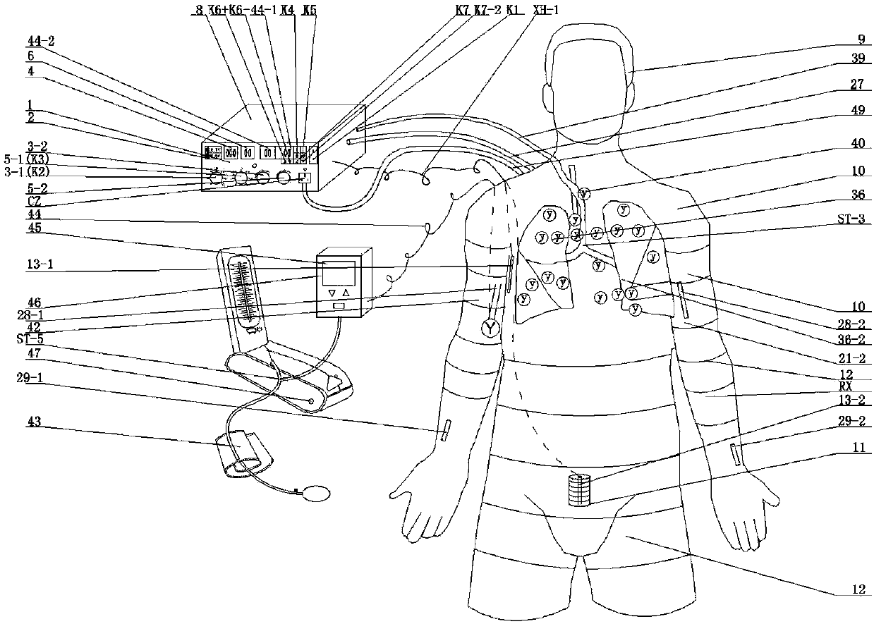 High simulation and full automatic human body vital sign-cardiopulmonary auscultation and palpation training model