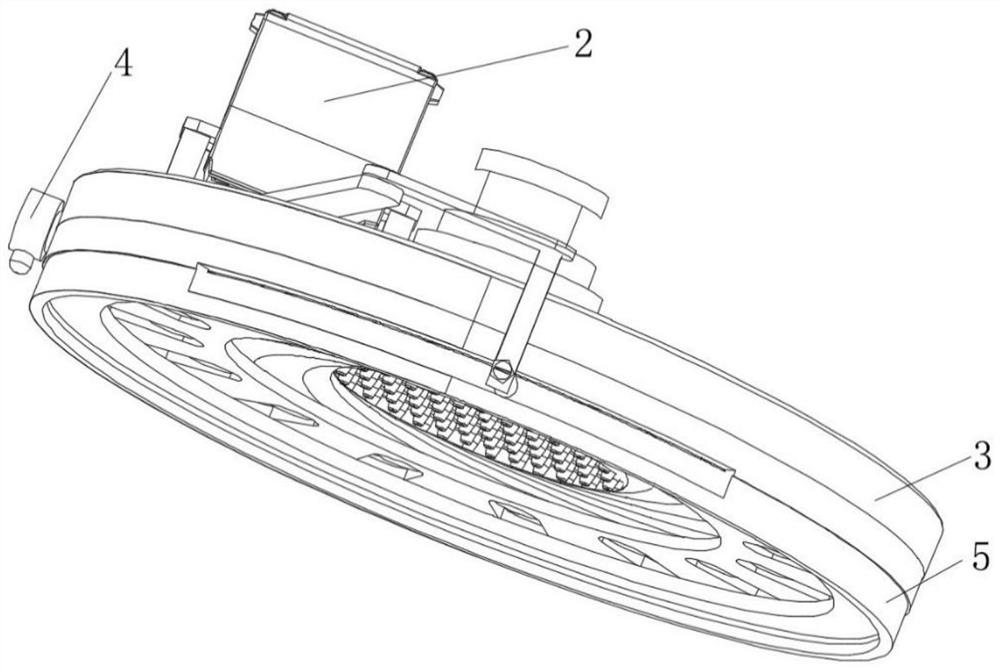 Shower head capable of automatically adjusting water outlet area and shower device