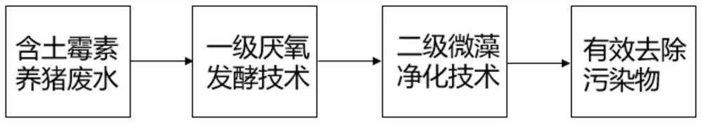 Two-stage microbiological treatment method for swine wastewater containing antibiotics