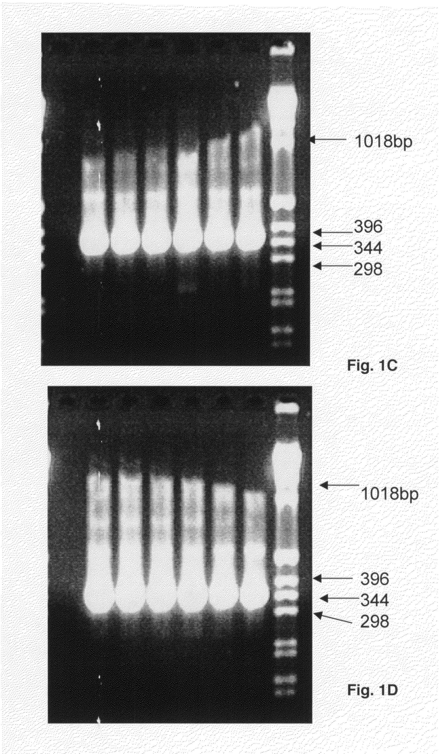 Population scale HLA-typing and uses thereof