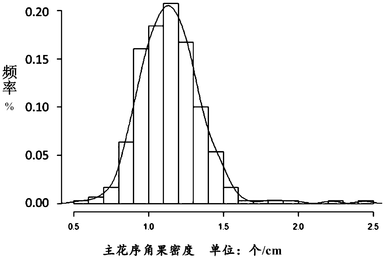 A05 chromosome major QTL locus of brassica napus major inflorescence silique density character, SNP molecular marker and application