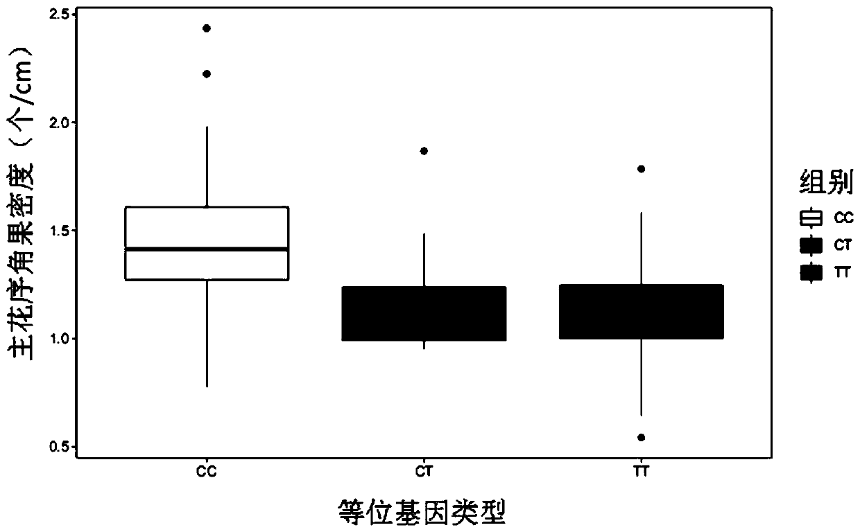 A05 chromosome major QTL locus of brassica napus major inflorescence silique density character, SNP molecular marker and application