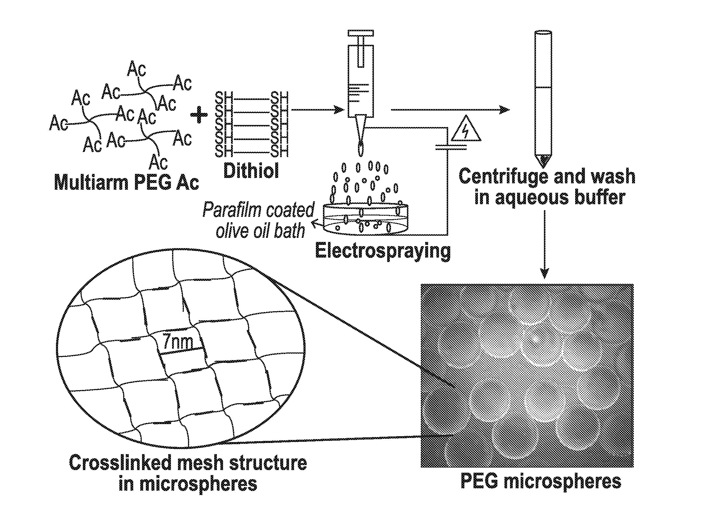 Fabrication of hydrogel microsphere delivery vehicles through electrospraying and timed gelation