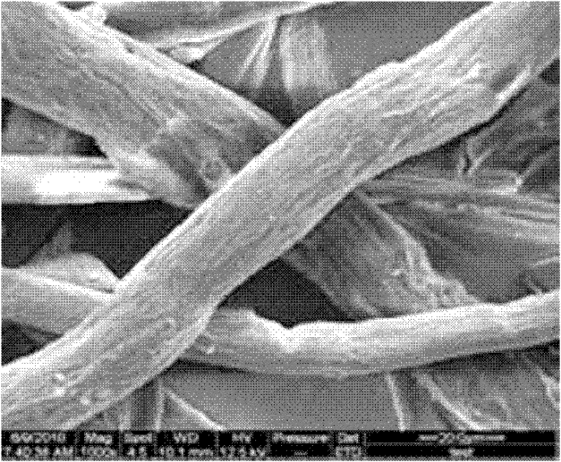 Plant paper pulp fiber modifying agent and modifying method using same, and filter paper and preparation method thereof