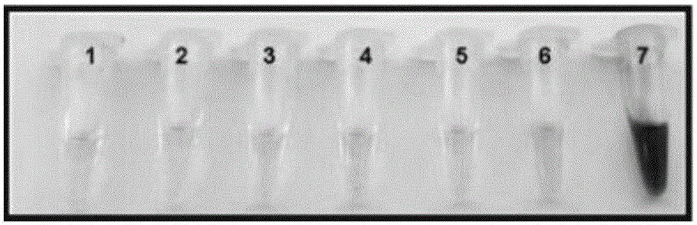 Fluorescence probe rapidly responding to hydrogen sulfide and preparation method and application thereof