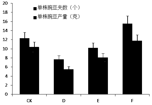 A sun-shading and topping method for yield increase of pea mz-1