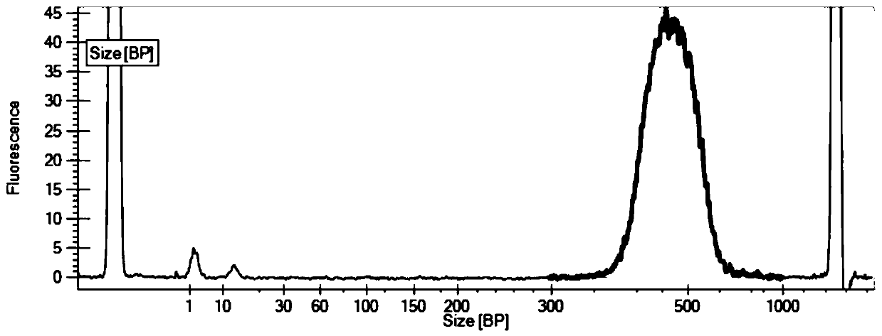 Magnetic bead suspension for nucleic acid purification and screening and application thereof