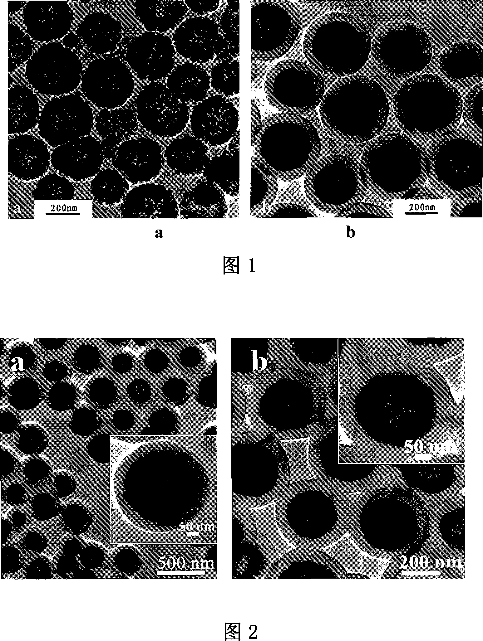 Surface finish C8 alkyl chain magnetic silicon ball and preparing method and application thereof