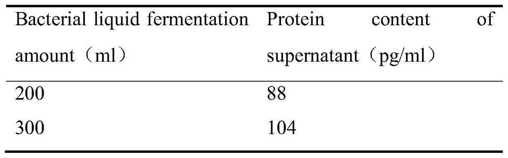 Escherichia coli Nissle 1917 genetically engineered bacterium as well as preparation method and application thereof