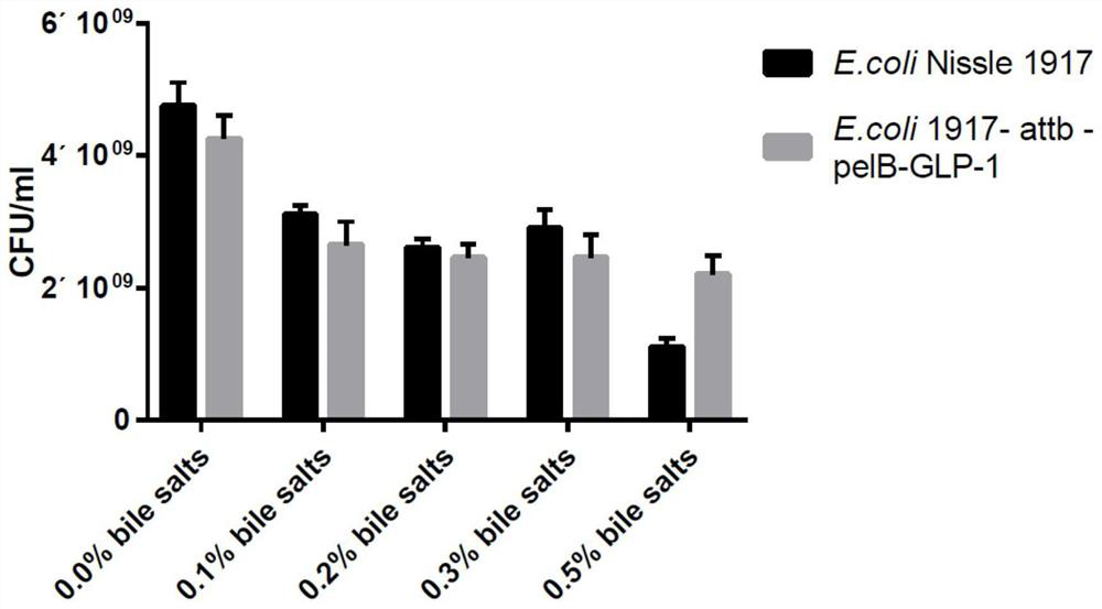 Escherichia coli Nissle 1917 genetically engineered bacterium as well as preparation method and application thereof